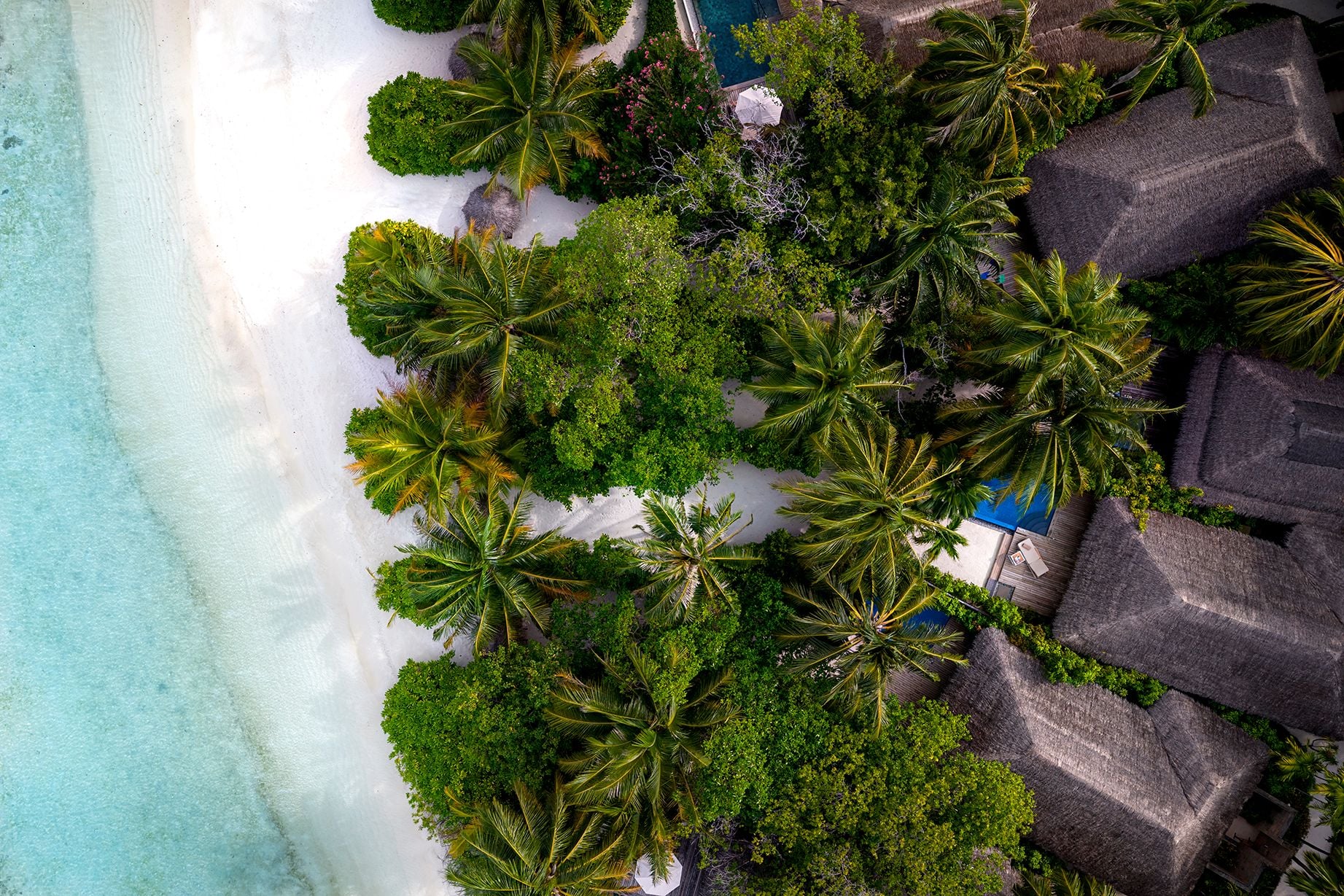 Baros pool villa drone photo